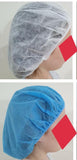 Hair Cover